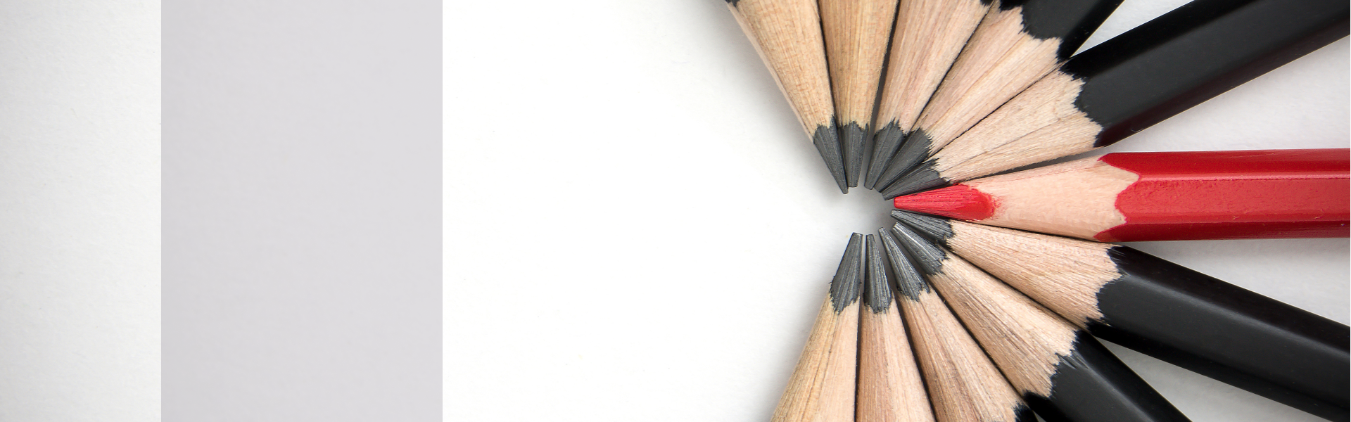 banner 1