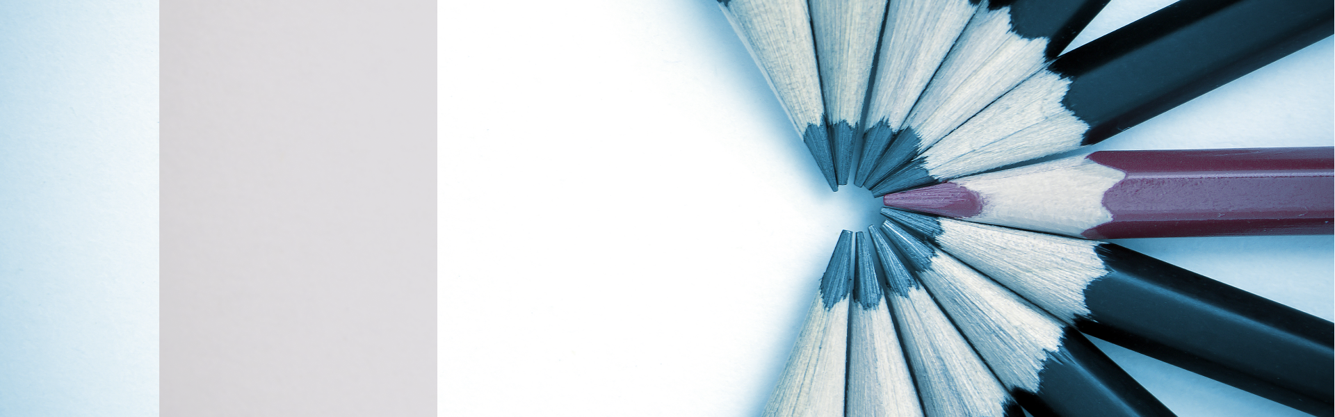 banner 2