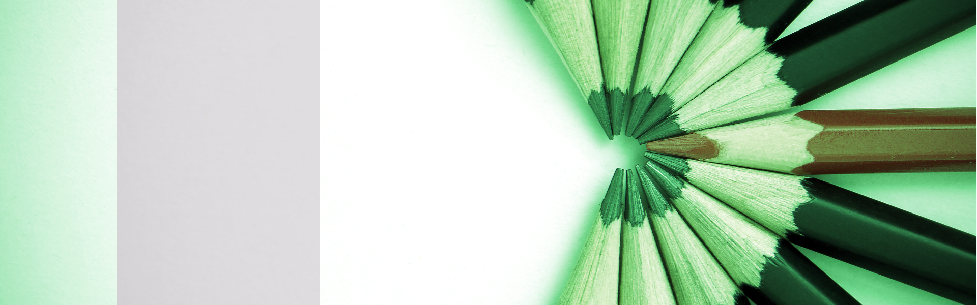banner 3
